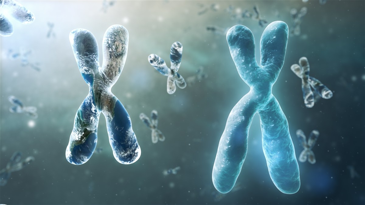 GENETIC MEDICINE AND SPACE&nbsp;TRAVEL